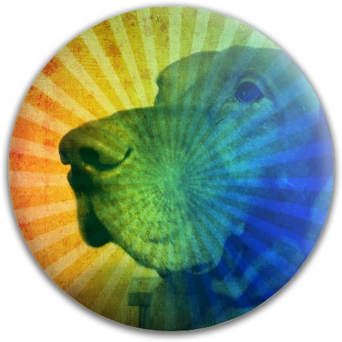 Design 101879 Disc Golf and Ultimate Discs