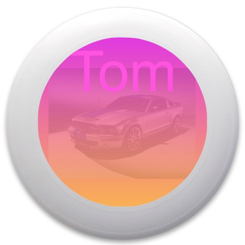Design 104631 Disc Golf and Ultimate Discs