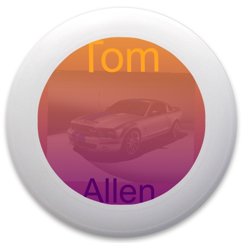 Design 104633 Disc Golf and Ultimate Discs