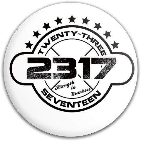 Design 110107 Disc Golf and Ultimate Discs