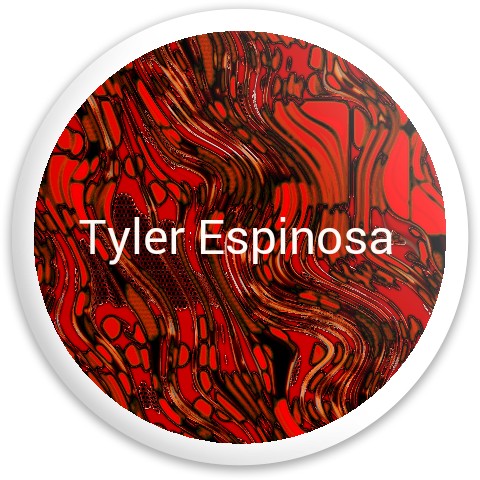 Design 135450 Disc Golf and Ultimate Discs