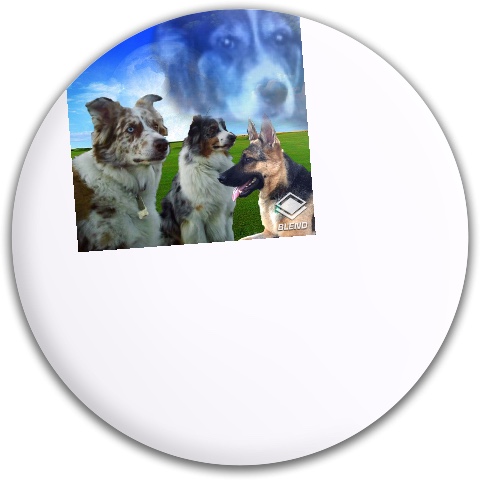 Design 148100 Disc Golf and Ultimate Discs