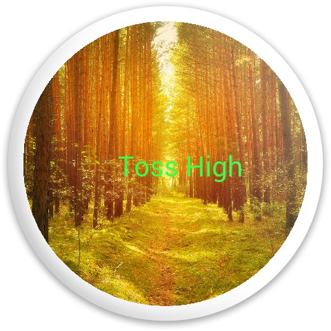 Design 154533 Disc Golf and Ultimate Discs