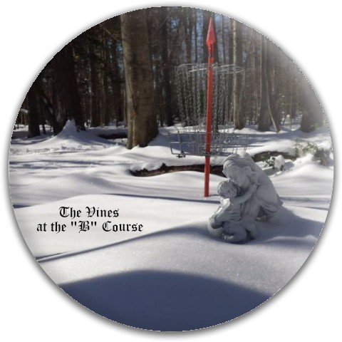 Design 158665 Disc Golf and Ultimate Discs