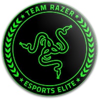 Razer Enforcer