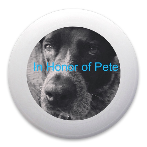 Design 170638 Disc Golf and Ultimate Discs