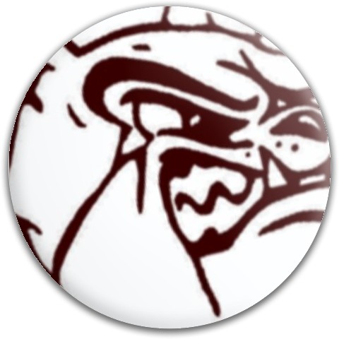 Design 172226 Disc Golf and Ultimate Discs