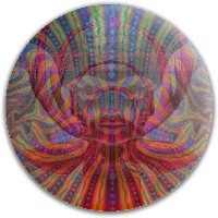 Design 173947 Disc Golf and Ultimate Discs Image