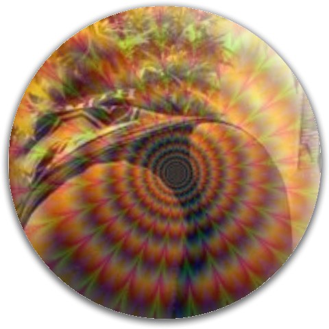 Design 180030 Disc Golf and Ultimate Discs