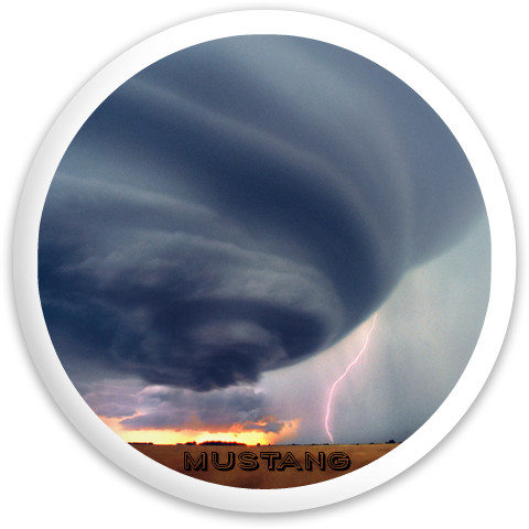 Design 186202 Disc Golf and Ultimate Discs
