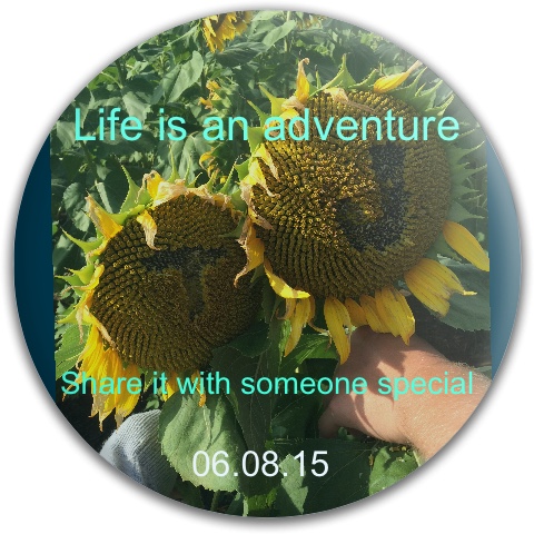 Design 189270 Disc Golf and Ultimate Discs