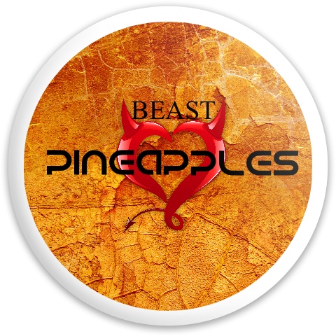 Design 190957 Disc Golf and Ultimate Discs
