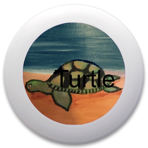 Design 191062 Disc Golf and Ultimate Discs