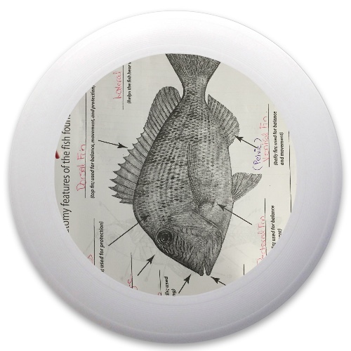 Design 198297 Disc Golf and Ultimate Discs