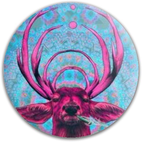 Design 209797 Disc Golf and Ultimate Discs
