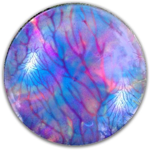 Design 210066 Disc Golf and Ultimate Discs
