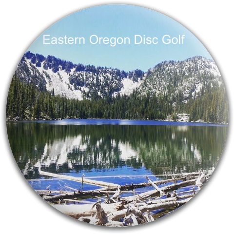 Design 215979 Disc Golf and Ultimate Discs