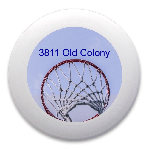 Design 221337 Disc Golf and Ultimate Discs
