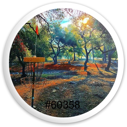Design 221488 Disc Golf and Ultimate Discs
