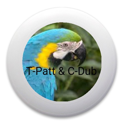 Design 224147 Disc Golf and Ultimate Discs