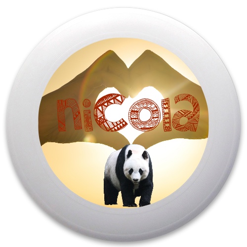 Design 228242 Disc Golf and Ultimate Discs