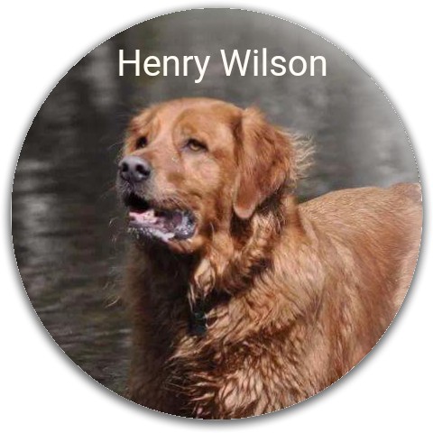 Design 232911 Disc Golf and Ultimate Discs