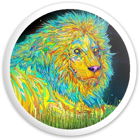 Design 233575 Disc Golf and Ultimate Discs