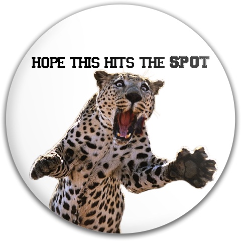 Design 253381 Disc Golf and Ultimate Discs