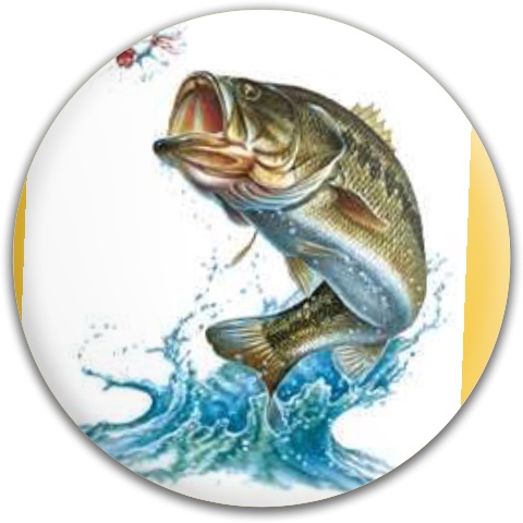 Design 258224 Disc Golf and Ultimate Discs