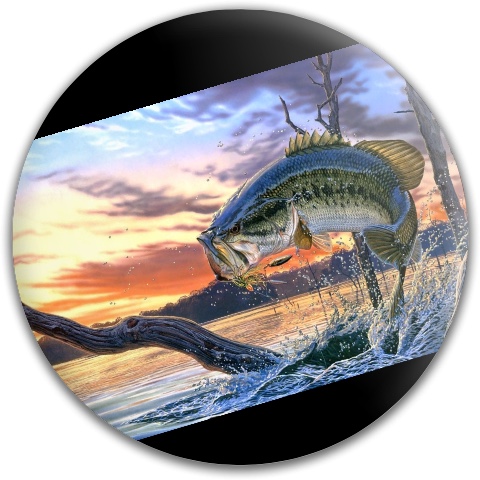 Design 258241 Disc Golf and Ultimate Discs