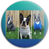 Design 261070 Disc Golf and Ultimate Discs Image