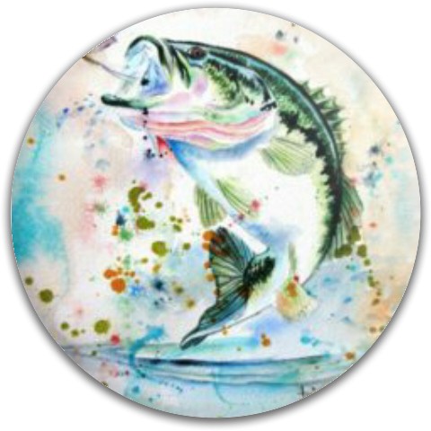Design 265655 Disc Golf and Ultimate Discs