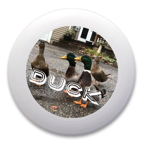 Design 270217 Disc Golf and Ultimate Discs