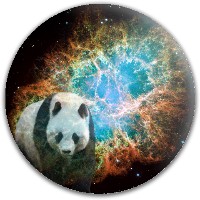 Ghost Panda