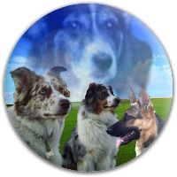 Design 280423 Disc Golf and Ultimate Discs Image