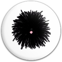 Design 288046 Disc Golf and Ultimate Discs Image