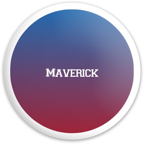 Design 292123 Disc Golf and Ultimate Discs