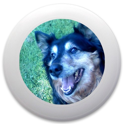 Design 292900 Disc Golf and Ultimate Discs