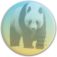 Design 293529 Disc Golf and Ultimate Discs Image