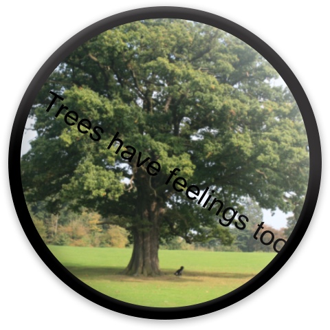 Design 293844 Disc Golf and Ultimate Discs