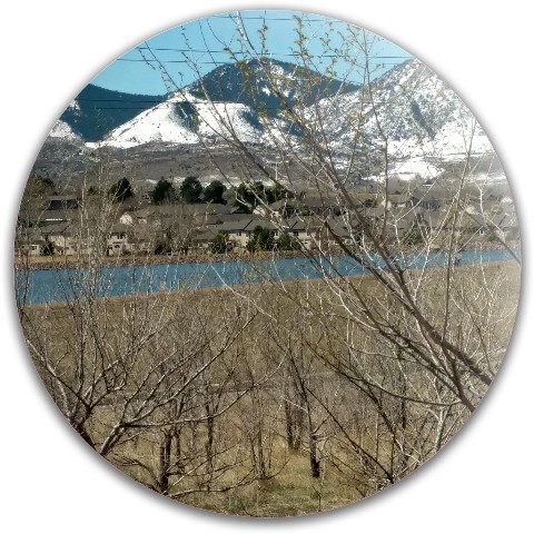 Design 297288 Disc Golf and Ultimate Discs