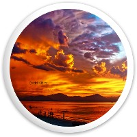 Design 305846 Disc Golf and Ultimate Discs Image