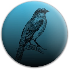 Design 306509 Disc Golf and Ultimate Discs Image