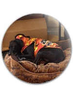 Design 30886 Disc Golf and Ultimate Discs Image