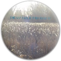 Design 311774