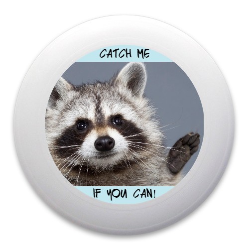 Design 314436 Disc Golf and Ultimate Discs