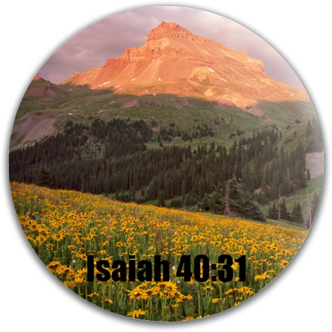 Design 314980 Disc Golf and Ultimate Discs