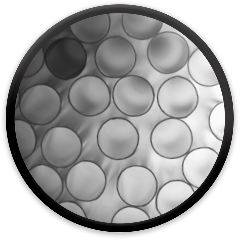 Design 315881 Disc Golf and Ultimate Discs