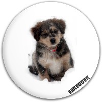 shredDOG