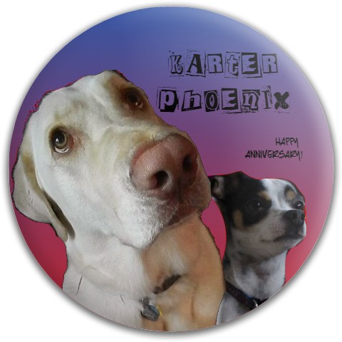 Design 322491 Disc Golf and Ultimate Discs